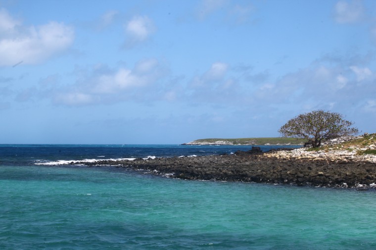 231020_-_Abrolhos_1.jpg