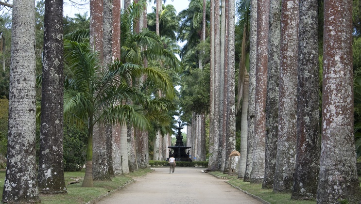 24_02_17_Jardim_Botanico_RJ.jpg