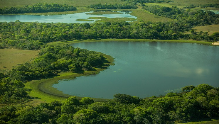 26_08_2016_pantanalPantanal.jpg