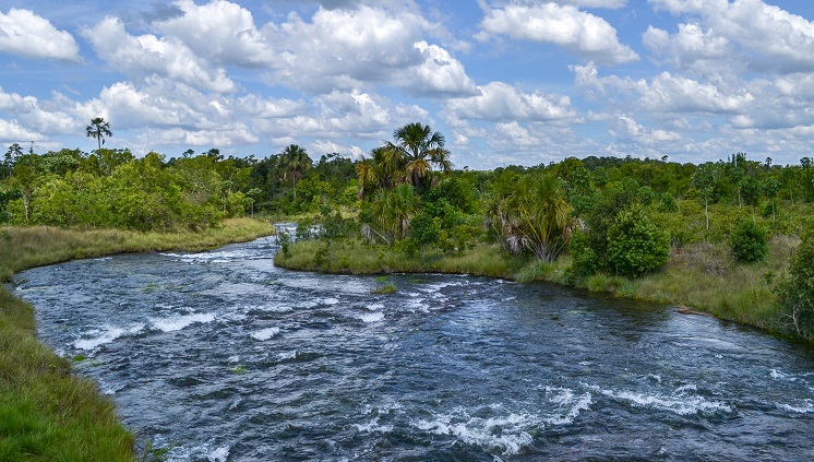 27_03_17_MINEIROSGOIAS.jpg