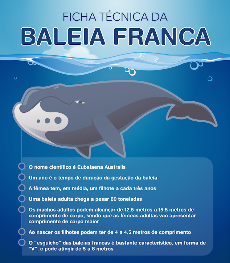 30_06_2016_materia_baleia_franca_2.png