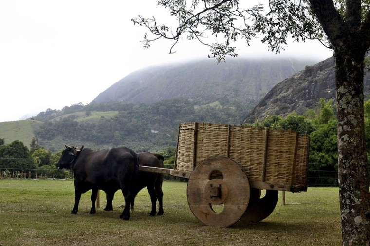 31.08.2020_TURISMO_RURAL.jpg