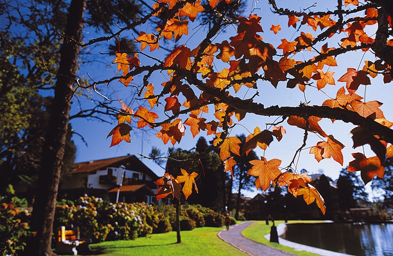 portal_interna_12_destinos_gramado_rs_-2081858397.jpg