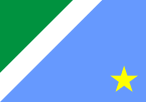 Bandeira_de_Mato_Grosso_do_Sul-300x210.png