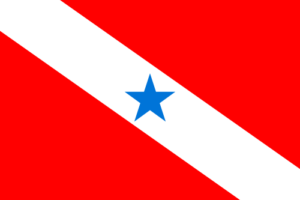 Bandeira_do_Para-300x200.png